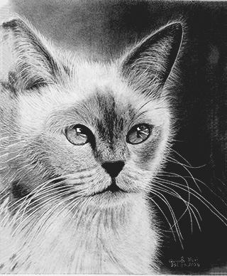 Portrait Animal 1