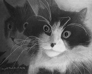 Portrait Animal 4