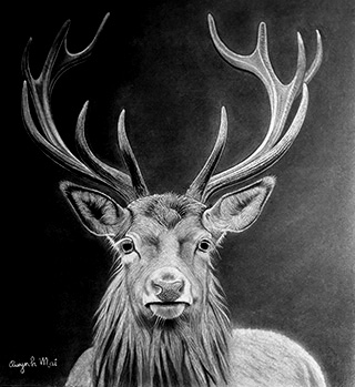 Portrait Animal 5